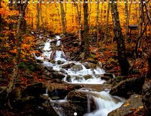 Load image into Gallery viewer, 2026 Vermont Photo Calendar (8.5"x11")