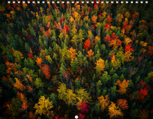 Load image into Gallery viewer, 2026 Photo Calendar (8.5"x11")