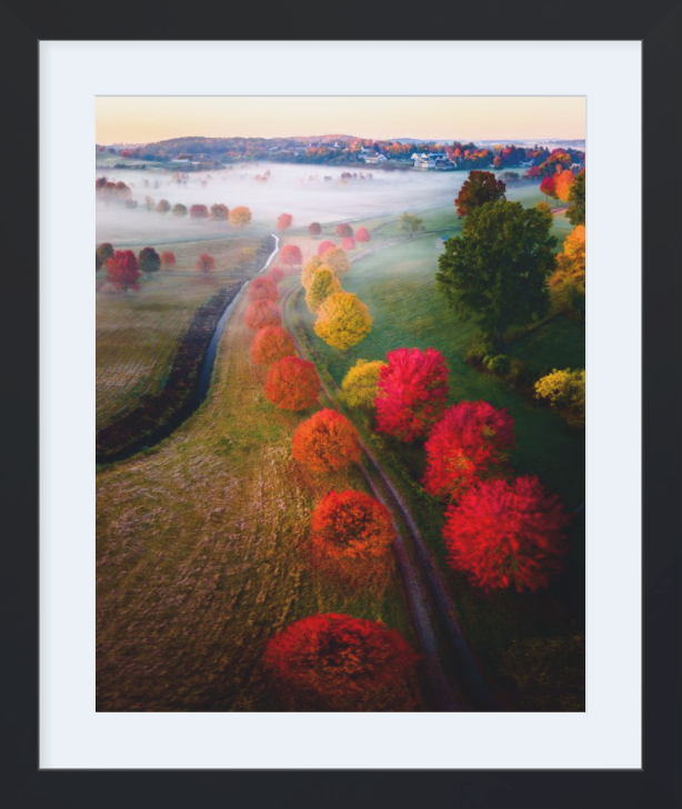 Framed New England Fall Morning Print