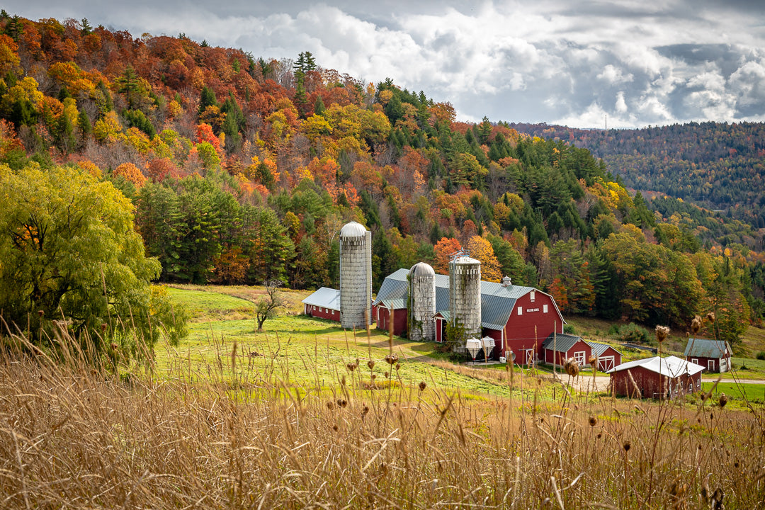 A classic New England farm during peak foliage in Barnet, Vermont